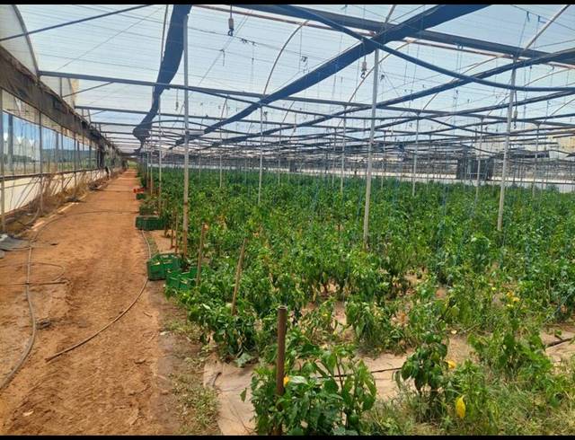 FARM FOR SALE IN WELTEVREDEN